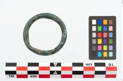 Foto von Bronzering (NHMW-PRAE-025991)